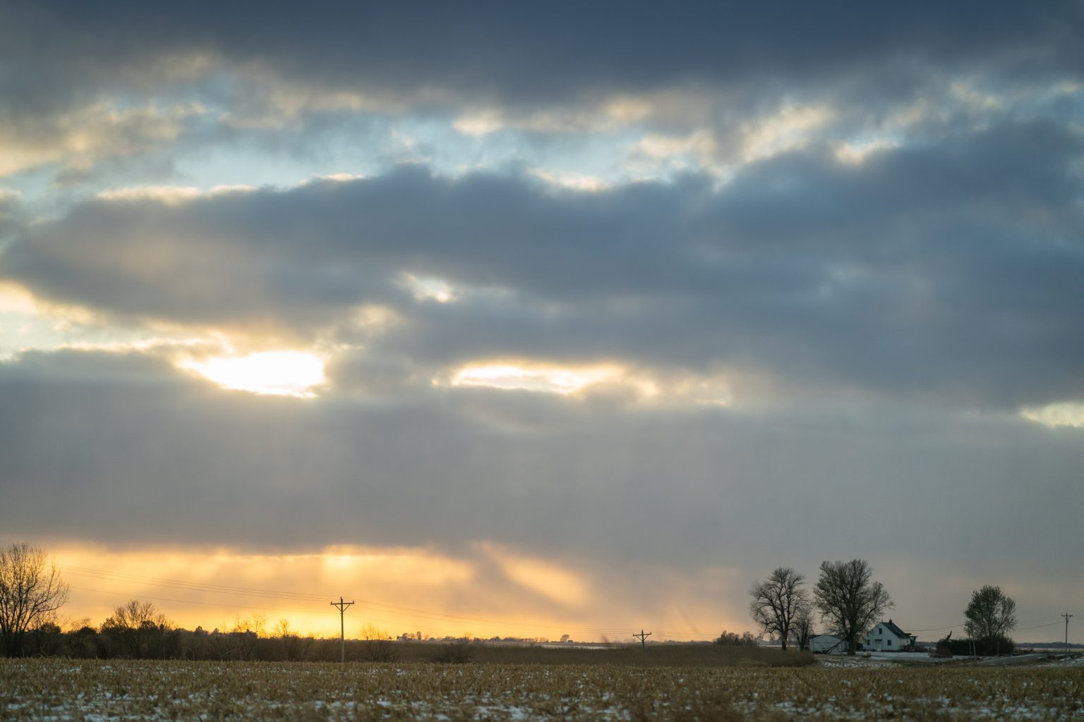 Photo by Adam Schultz / Biden for President