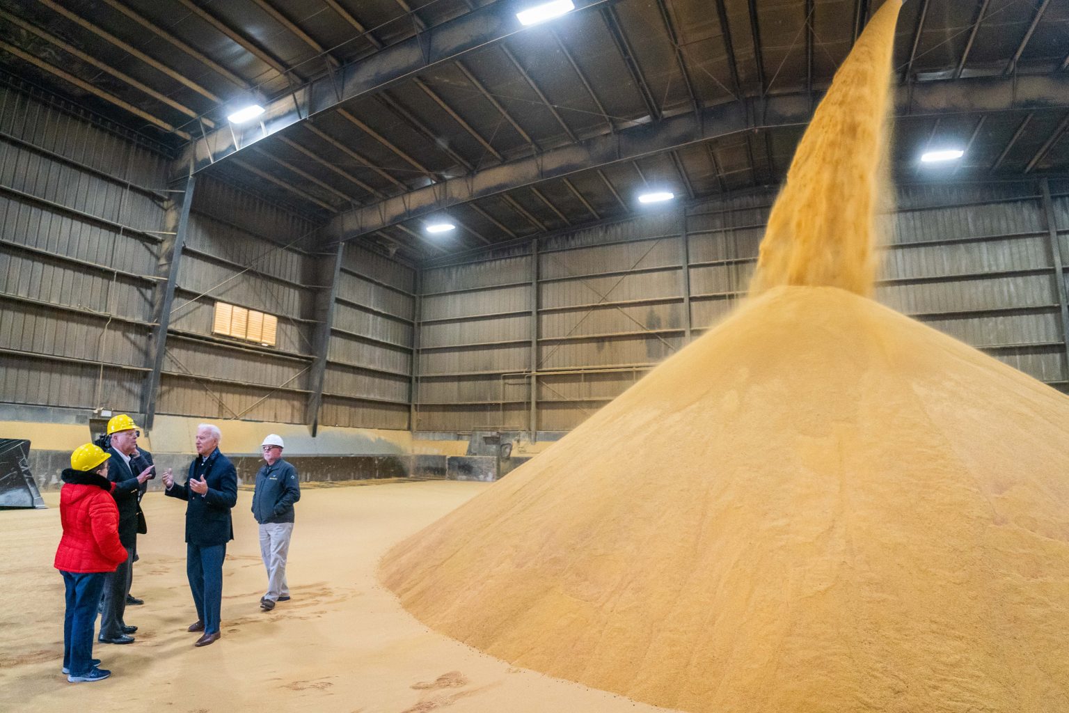 Photo by Adam Schultz / Biden for President